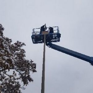 Meet your Posher, Albert